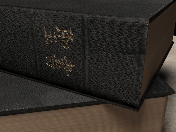 3d japanese bible model - Japanese Book by Irish Wolf Productions